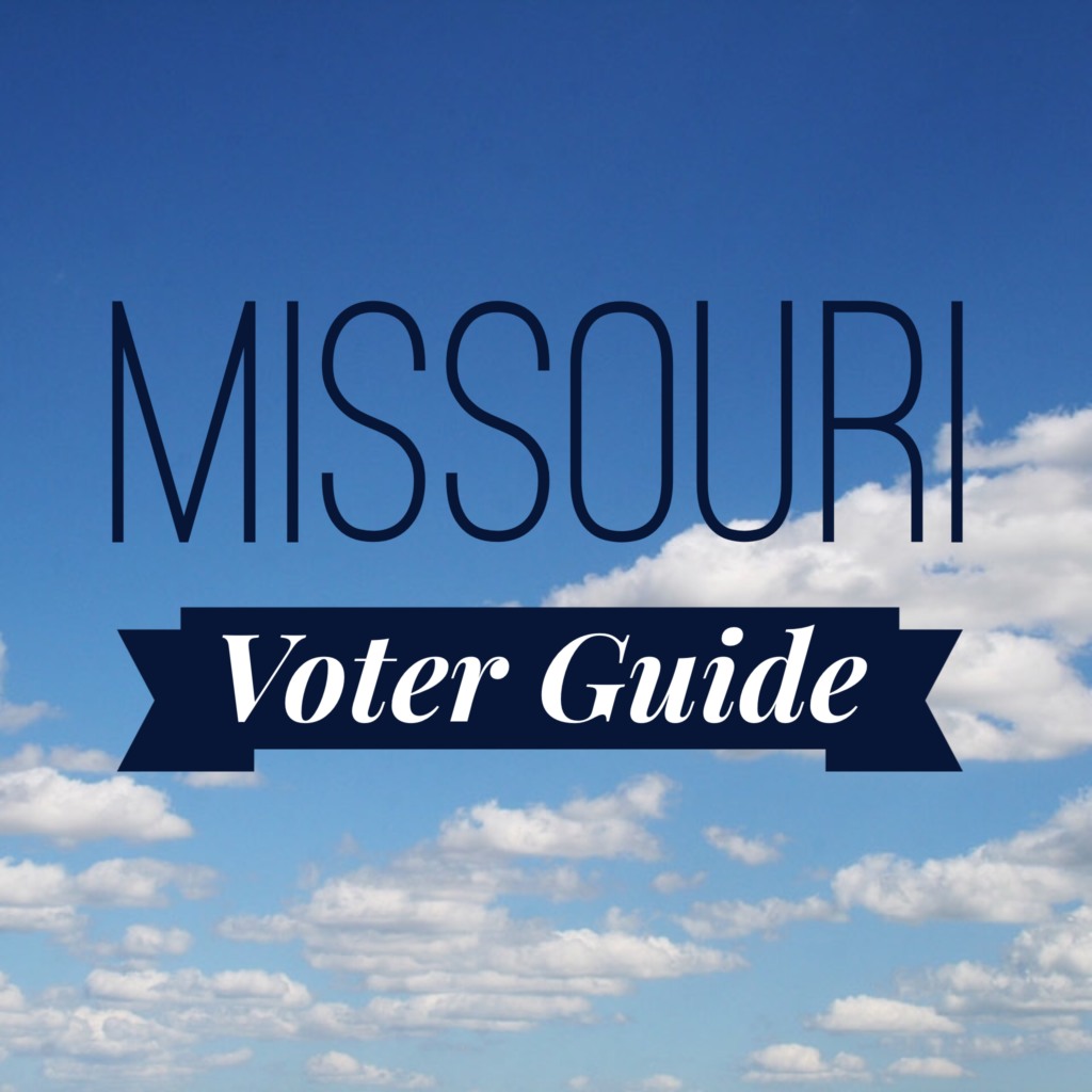 Missouri Voter Guide August 2024 Rita Demetra