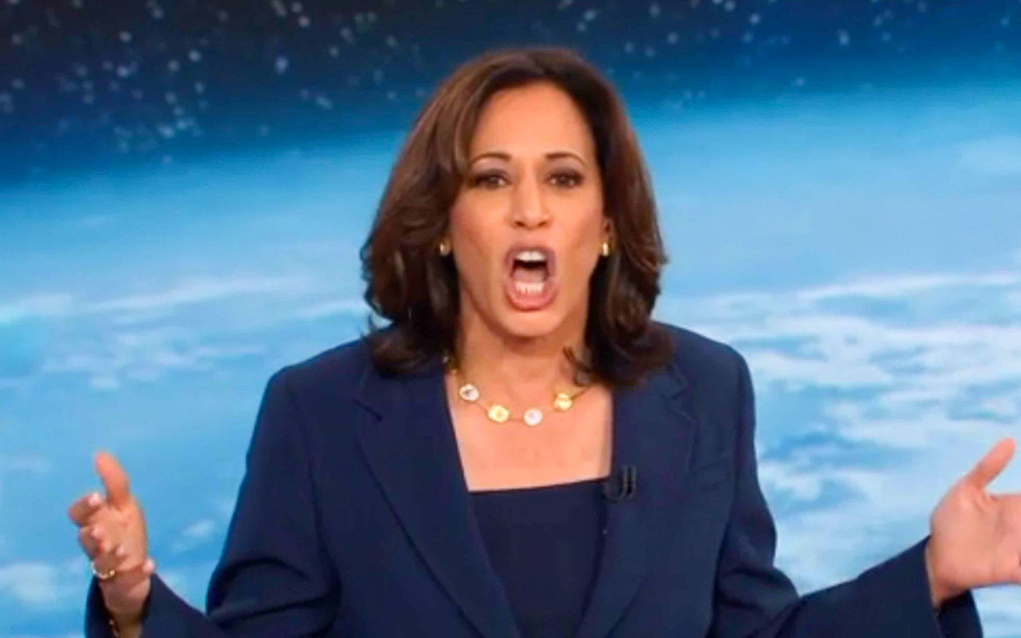 Kamala Harris Is Calling It Quits for 2020