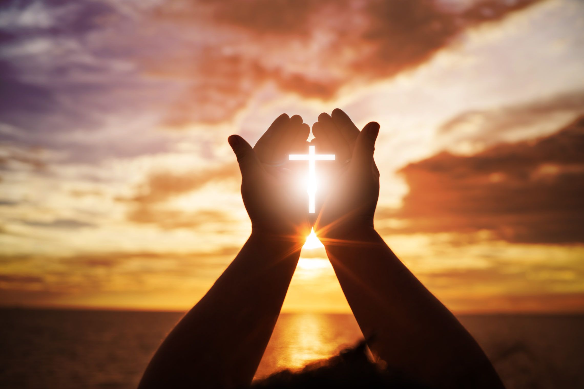 The Joy of Living in Peace with God Can Be Ours