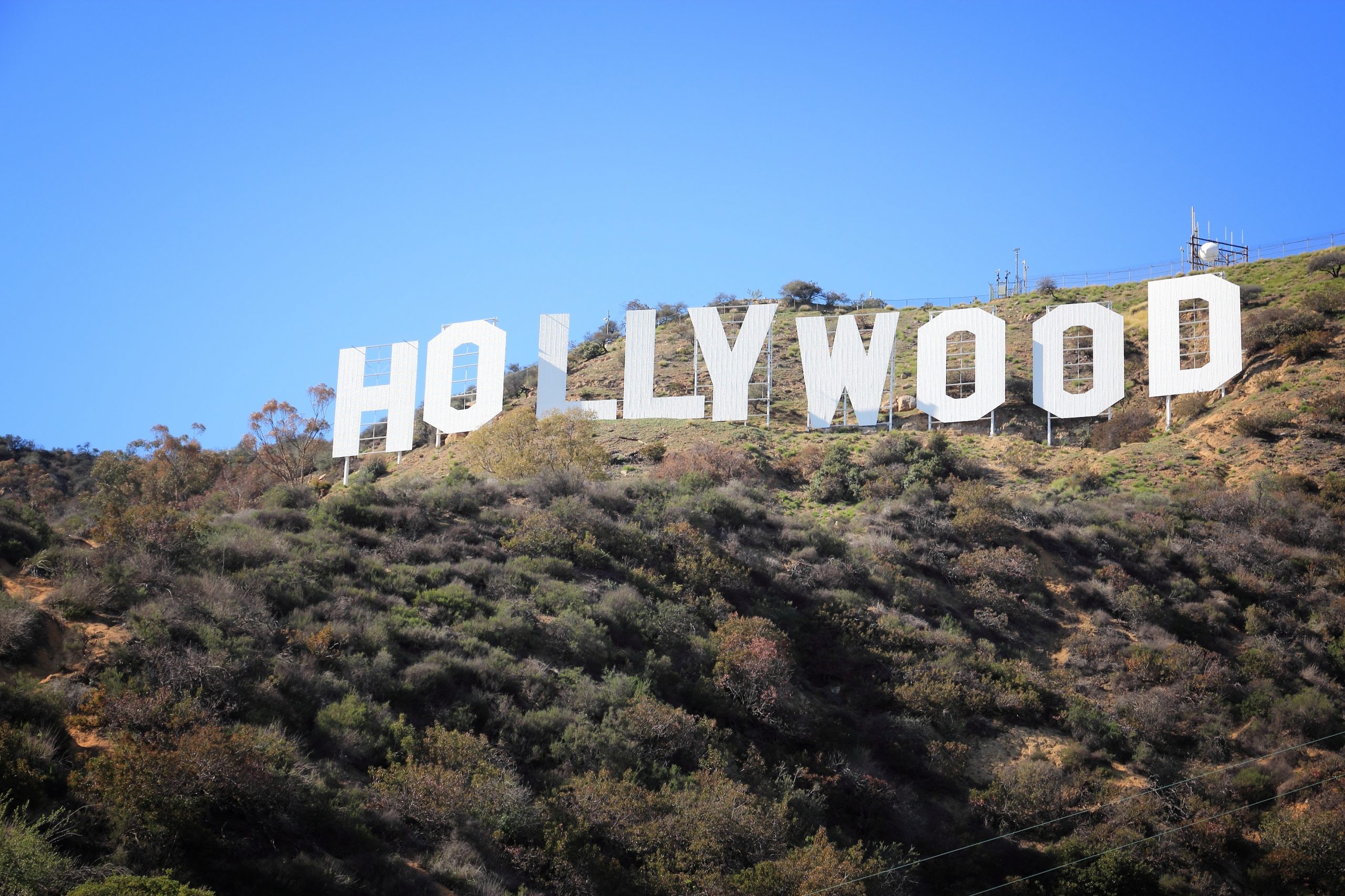Hollywood Celebrity Seemed Worried About ISIS Leader’s Welfare — Then She Deleted Her Tweet