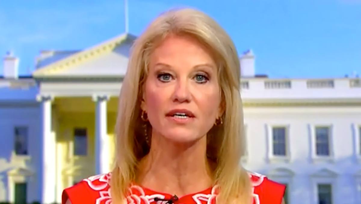 Kellyanne Conway: Trump Impeachment Efforts Are Adam Schiff’s ‘Ego Trip’