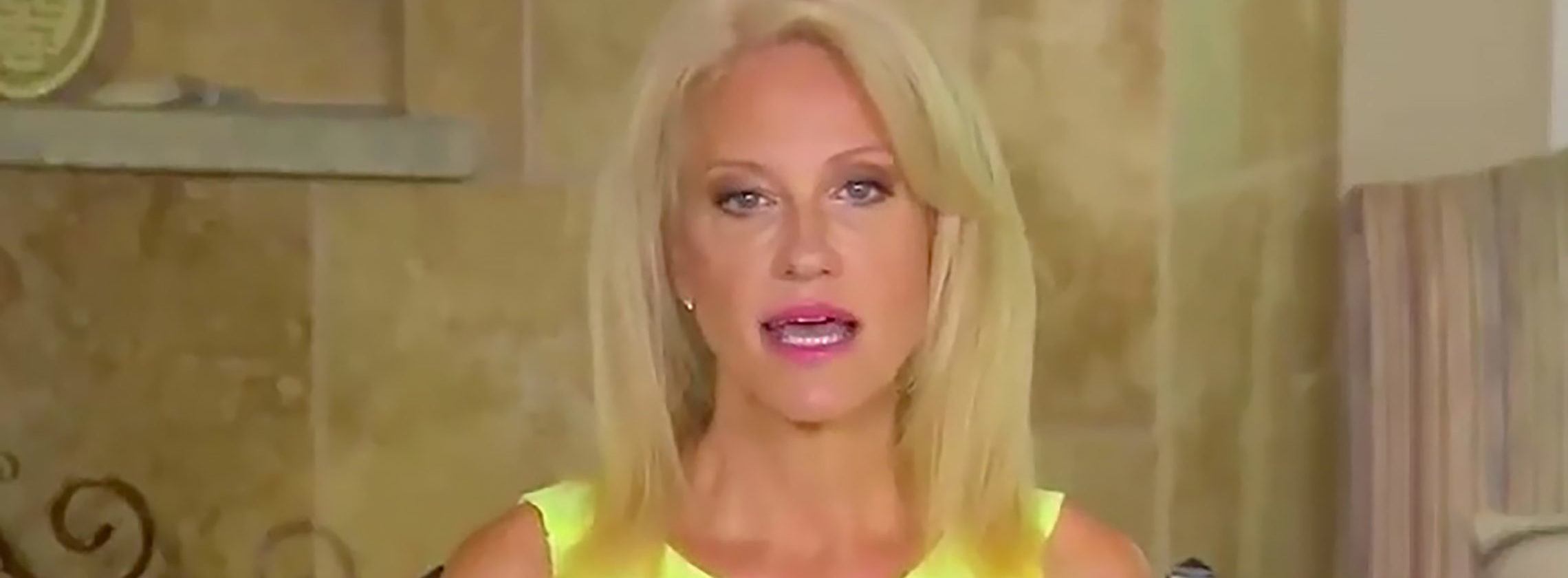 Kellyanne Conway Blasts Pamela Karlan for ‘Looking Down at Half of America’