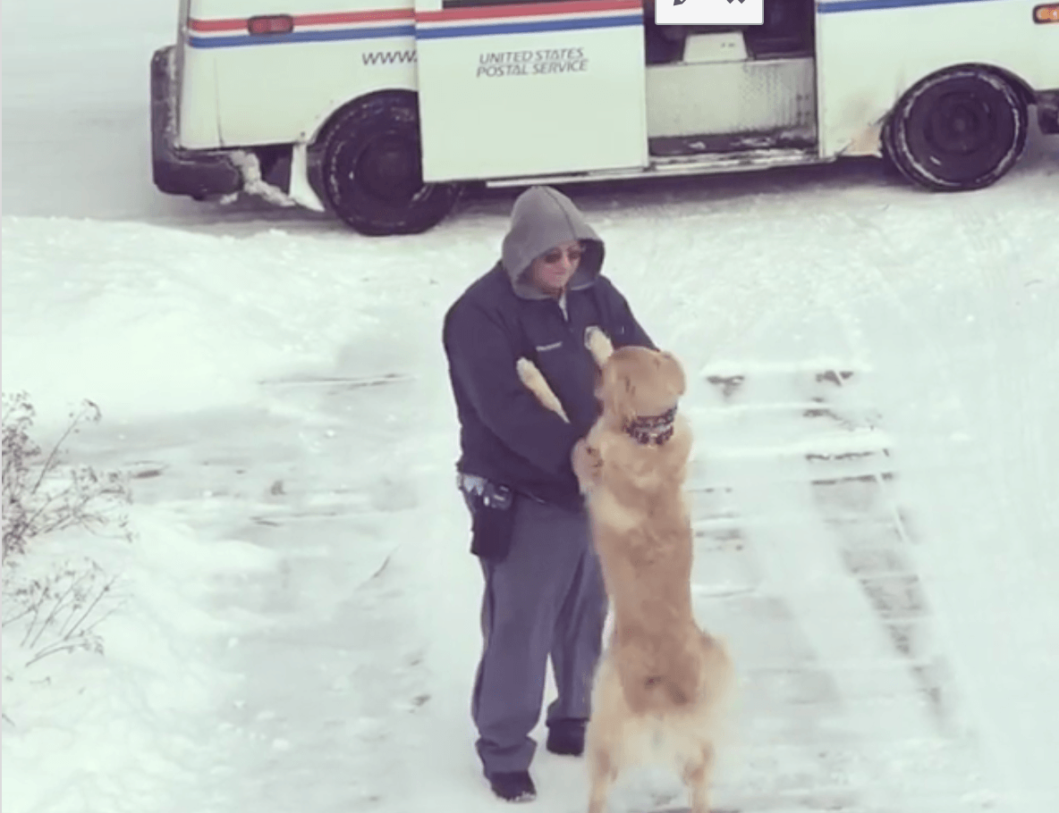 Dog Waits Everyday to Get a Hug From The Mailman