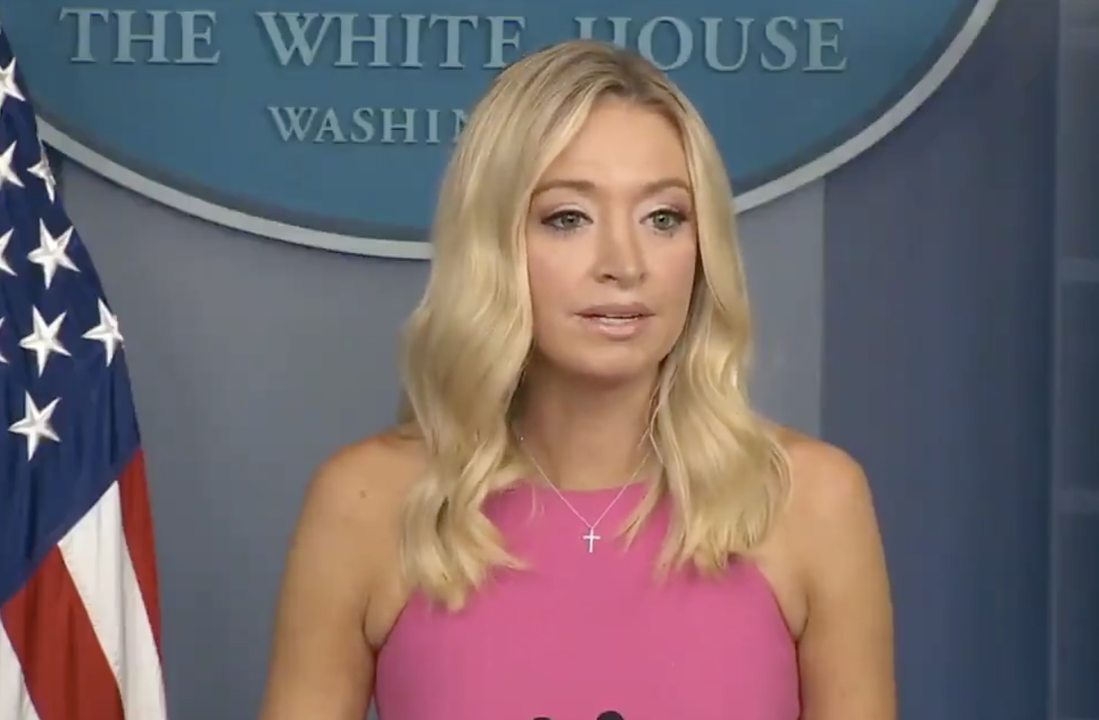 WATCH:Fox News Cuts Away from Kayleigh McEnany As She Discusses Voter Fraud