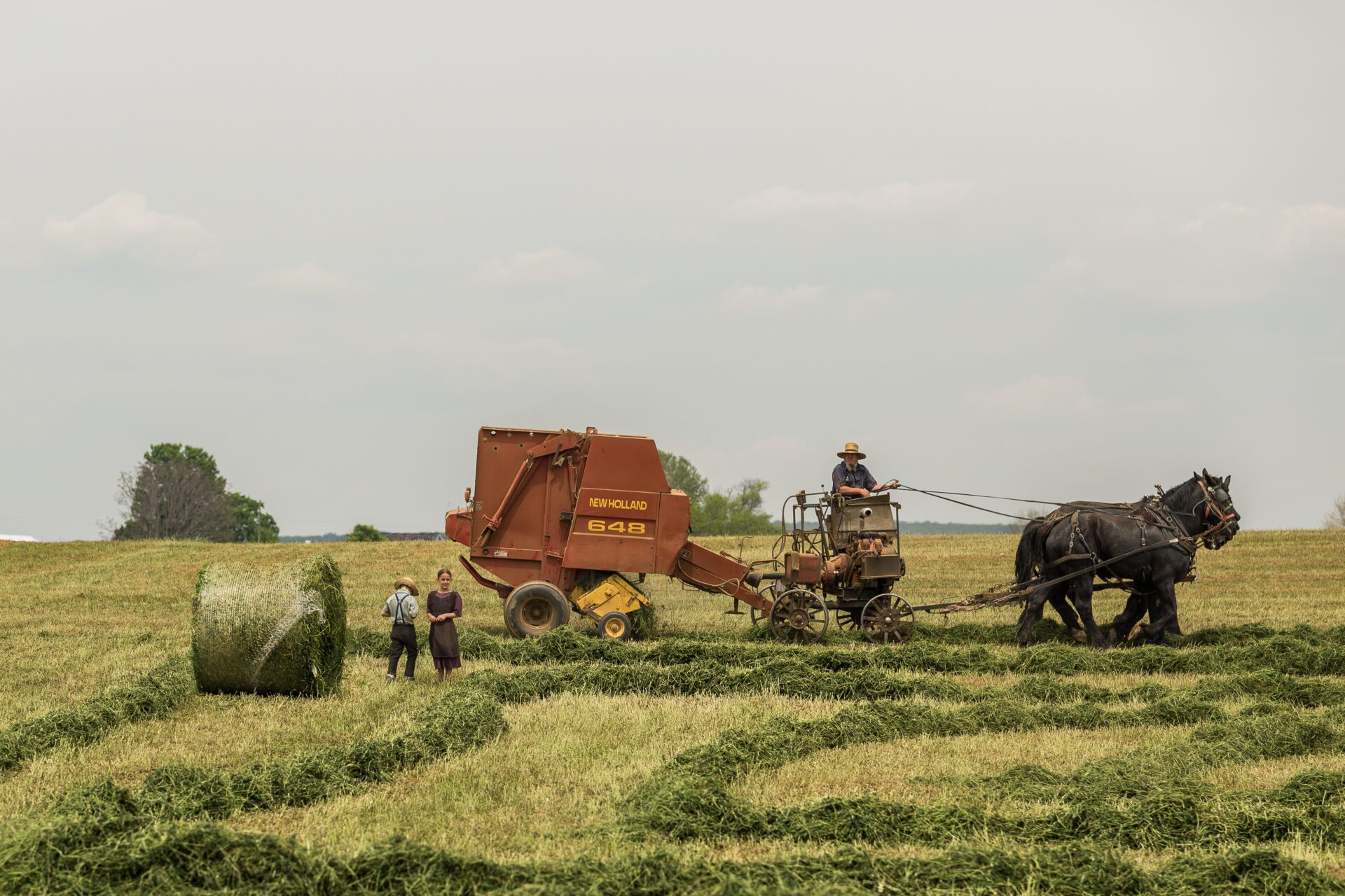 Armed Feds Target Amish Farmer for Farming in Accordance with his Religion